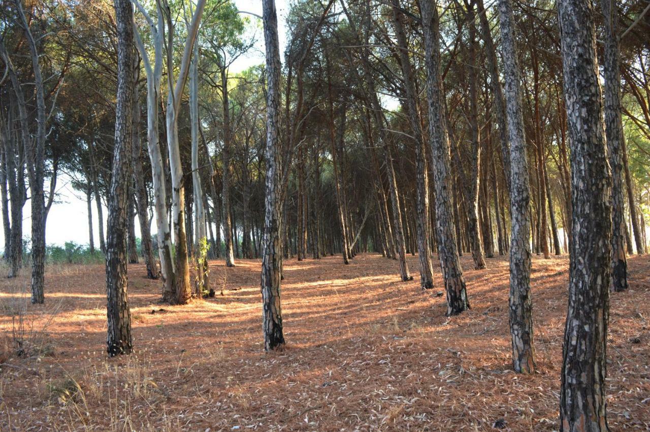 Oasi Del Governatore Apartment Squillace Luaran gambar